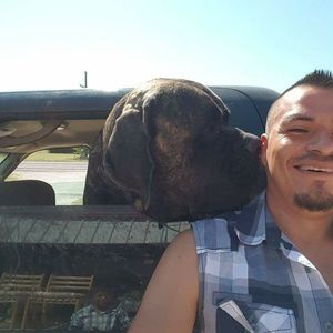 Meet your Posher, Jj